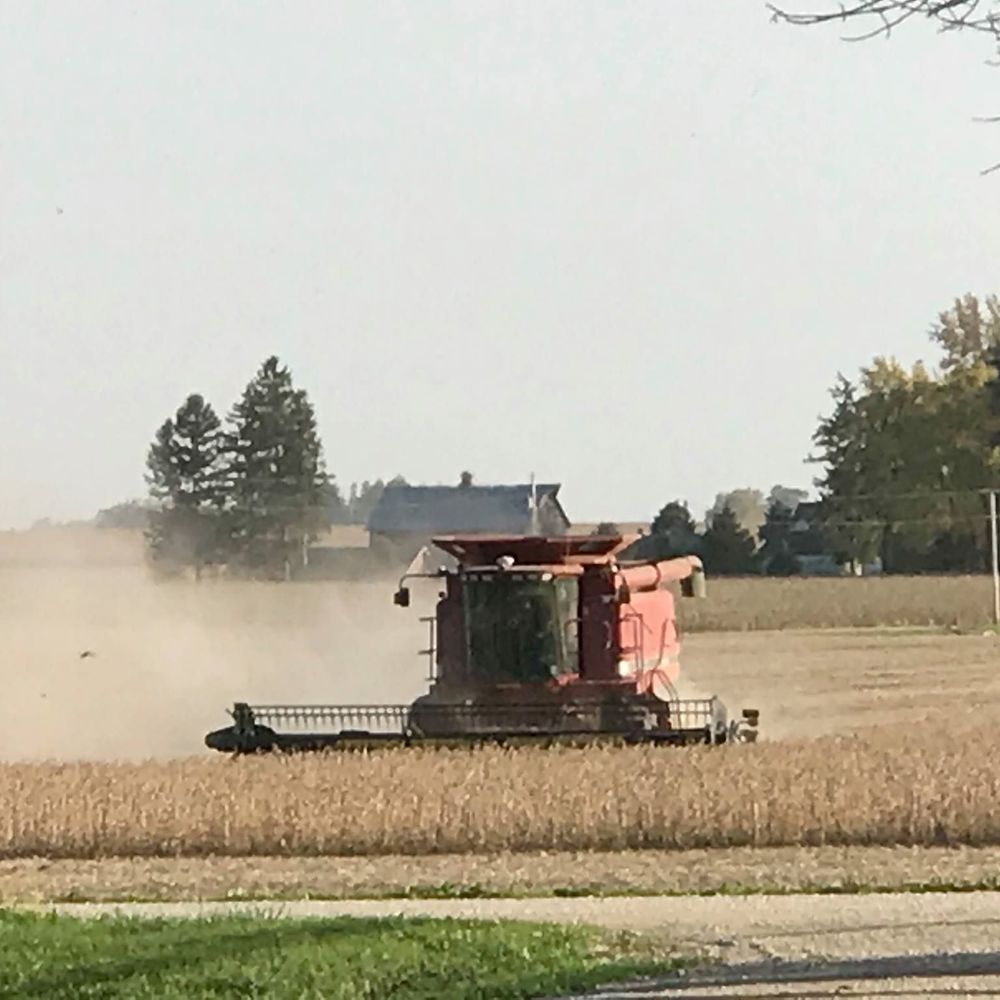 Meet your Posher, Jacqueline